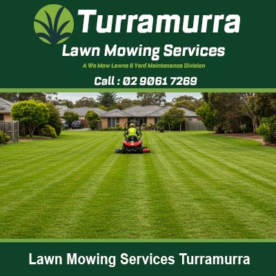 Worker on ride-on mower working on lawn in Turramurra