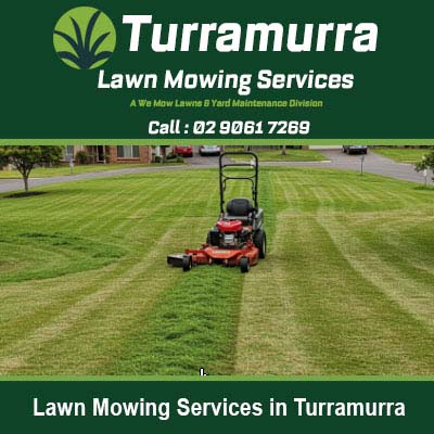 Mower creating precise striped patterns in Turramurra
